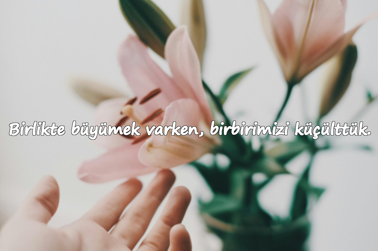 Birlikte büyümek varken, birbirimizi küçülttük.