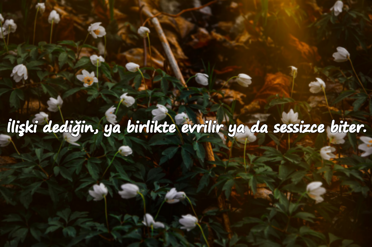 İlişki dediğin, ya birlikte evrilir ya da sessizce biter.