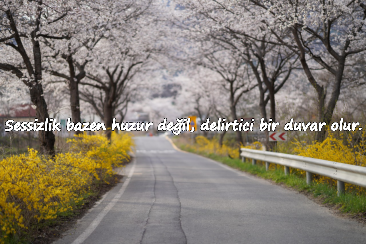 Sessizlik bazen huzur değil, delirtici bir duvar olur.