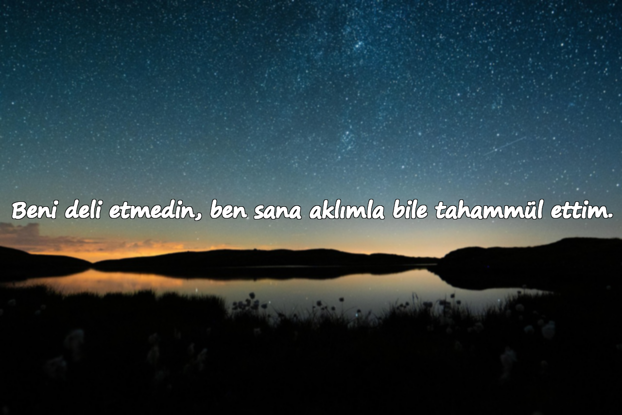 Beni deli etmedin, ben sana aklımla bile tahammül ettim.