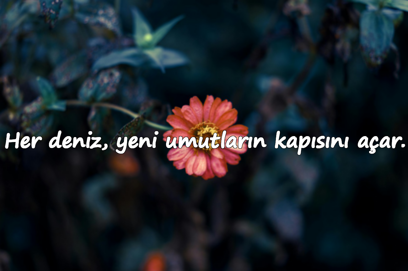 Her deniz, yeni umutların kapısını açar.
