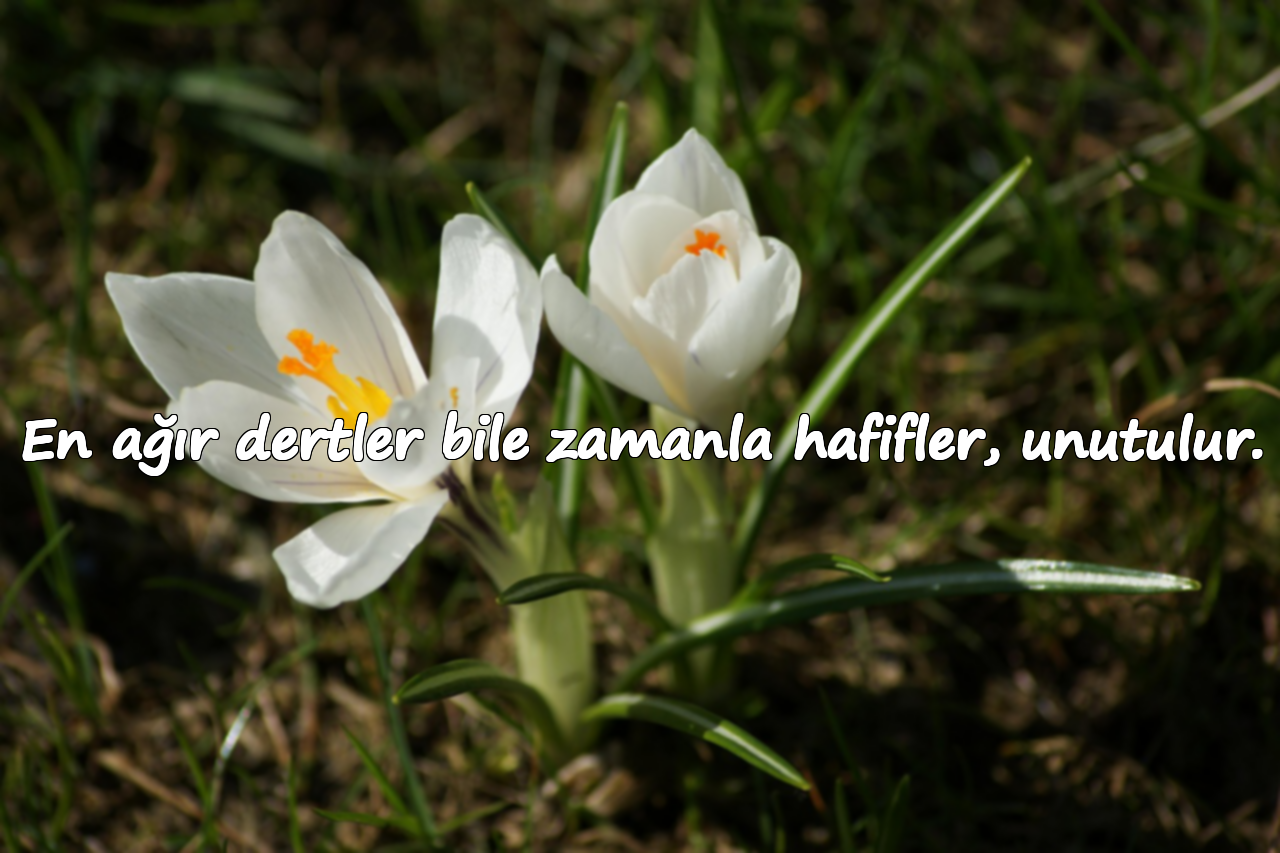 En ağır dertler bile zamanla hafifler, unutulur.