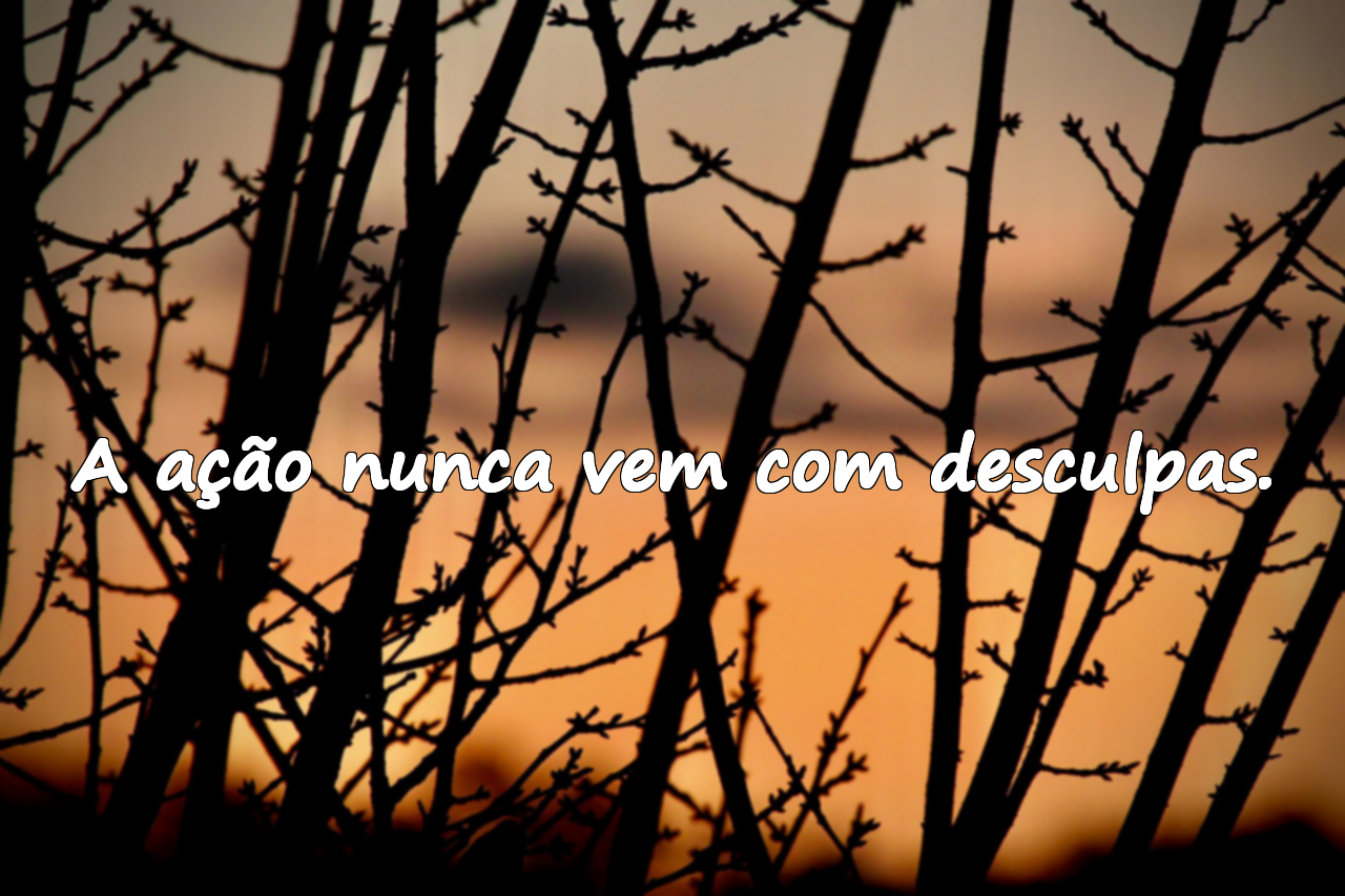 Desculpas e Ação