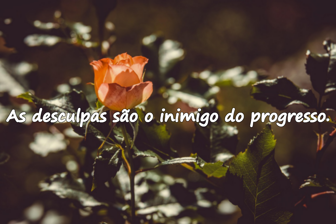 Desculpas e Ação