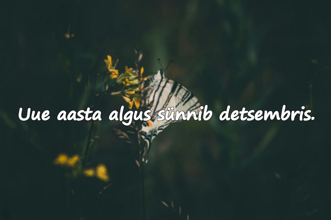 Detsembrikuu kohta tähendusrikkad sõnad