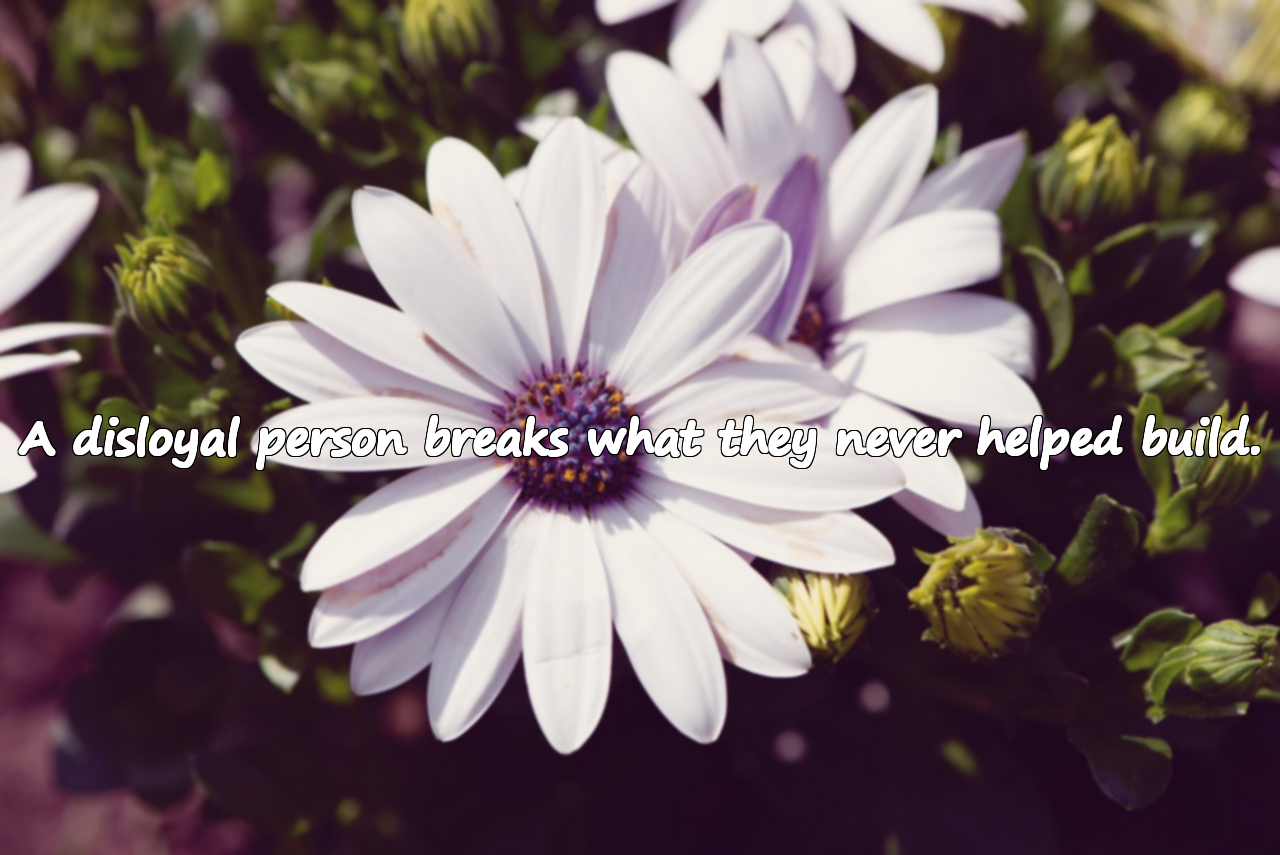 Disloyalty Quotes