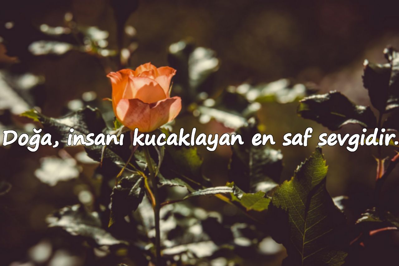 Doğa, insanı kucaklayan en saf sevgidir.