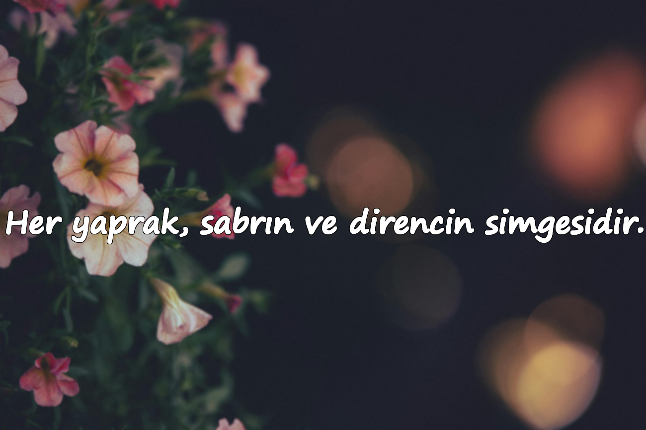 Her yaprak, sabrın ve direncin simgesidir.