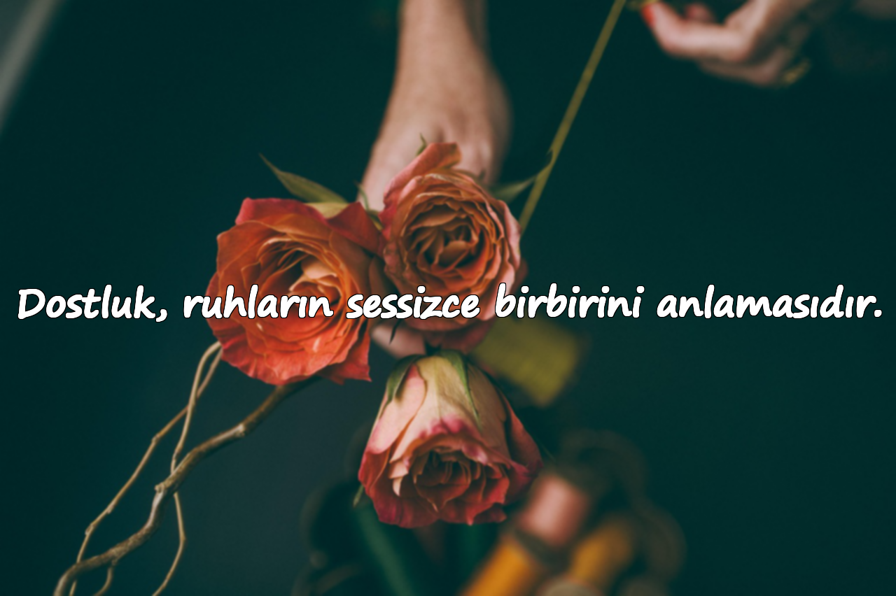 Dostluk, ruhların sessizce birbirini anlamasıdır.