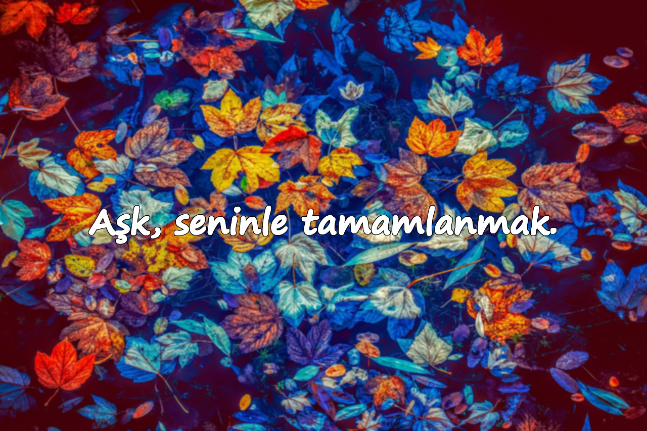 Aşk, seninle tamamlanmak.
