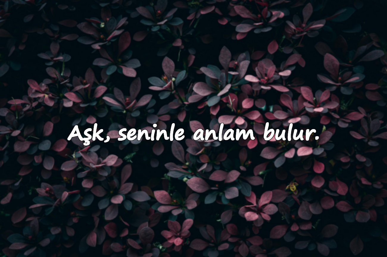 Aşk, seninle anlam bulur.