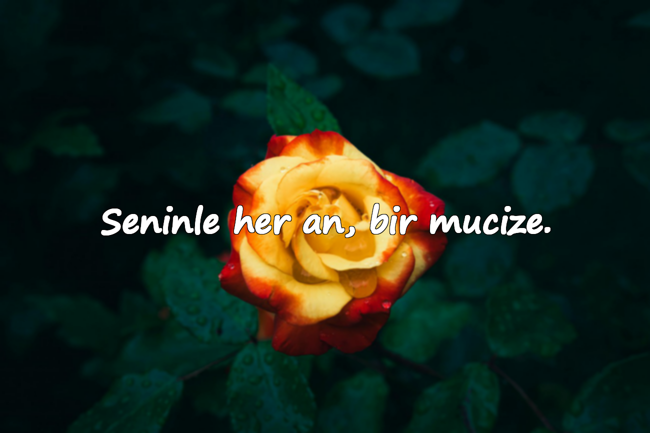 Seninle her an, bir mucize.