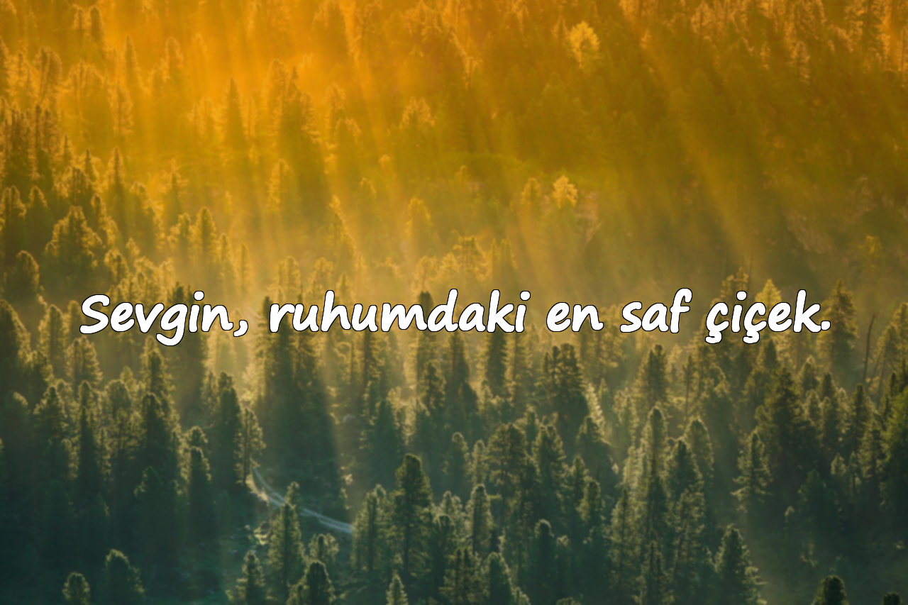 Sevgin, ruhumdaki en saf çiçek.