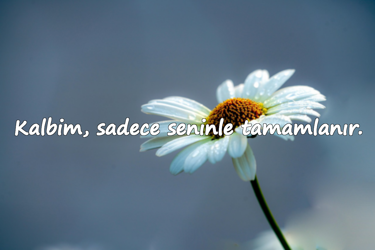 Kalbim, sadece seninle tamamlanır.