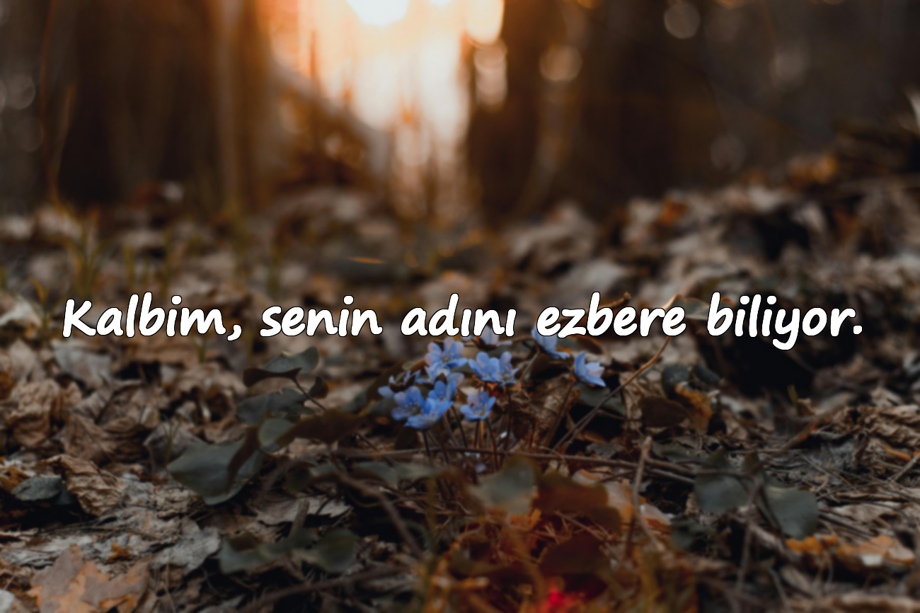 Kalbim, senin adını ezbere biliyor.