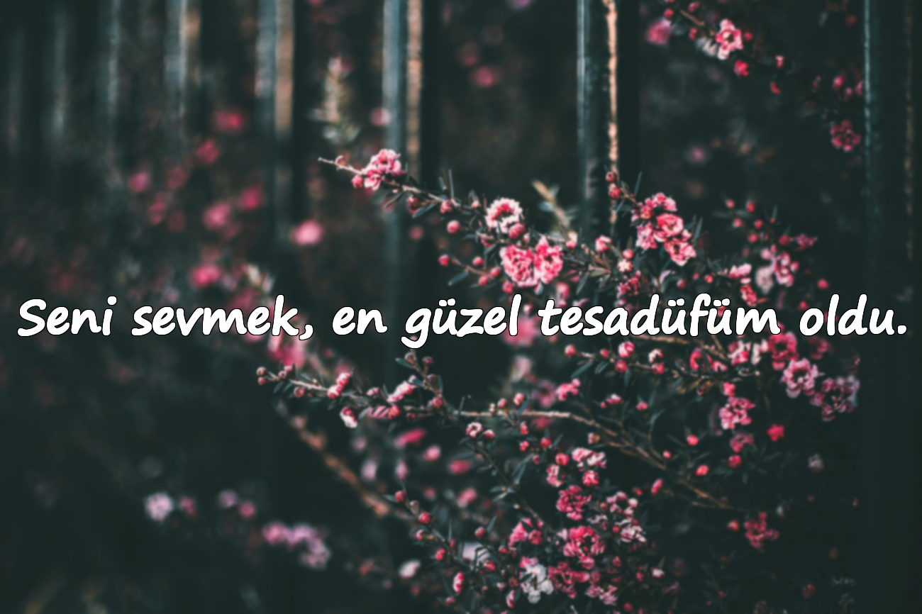 Seni sevmek, en güzel tesadüfüm oldu.