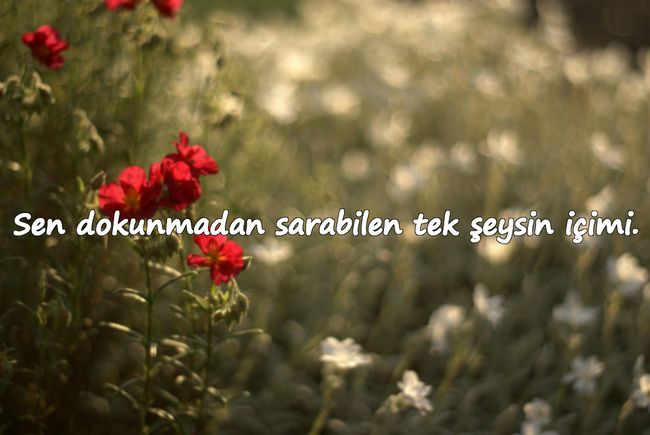 Sen dokunmadan sarabilen tek şeysin içimi.