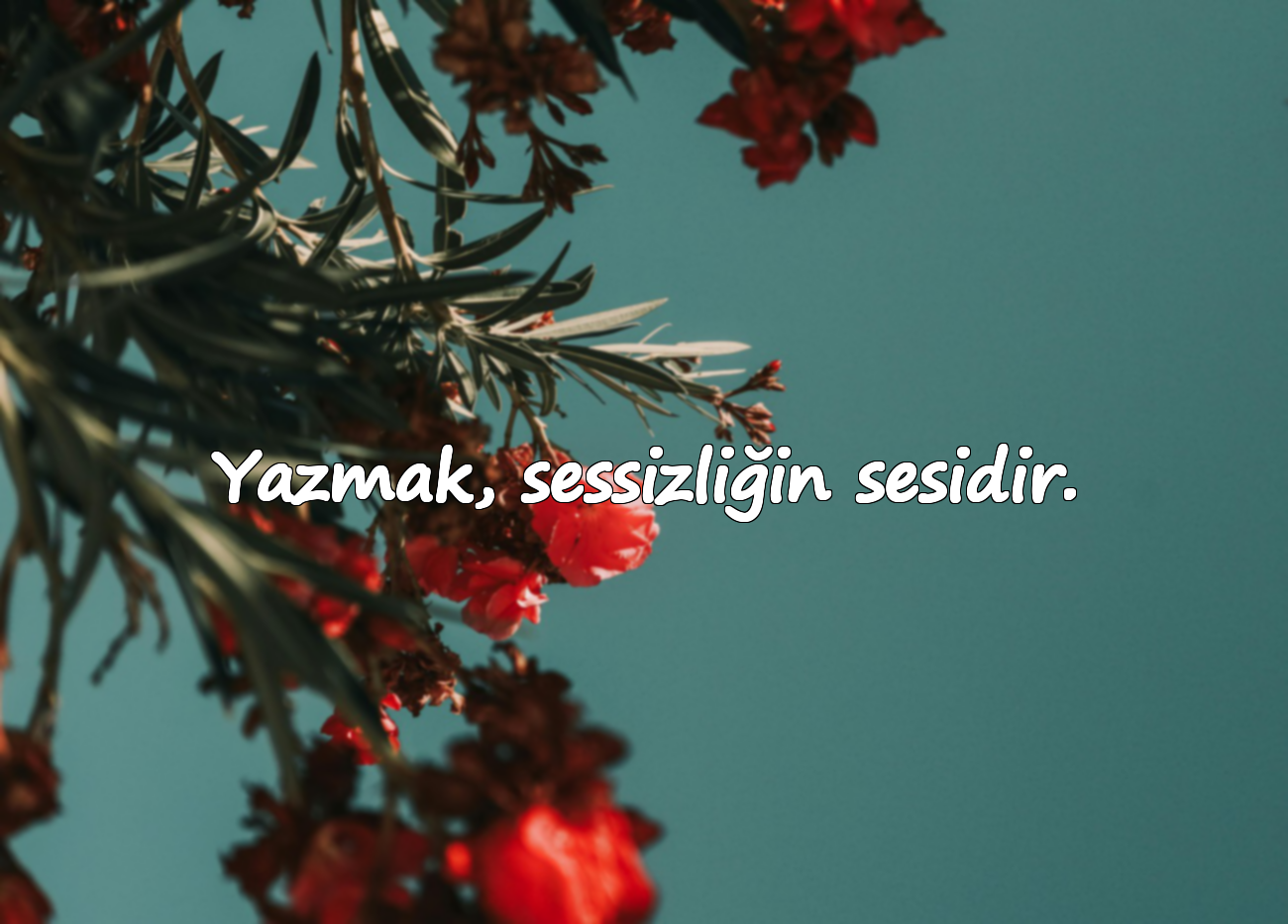 Yazmak, sessizliğin sesidir.
