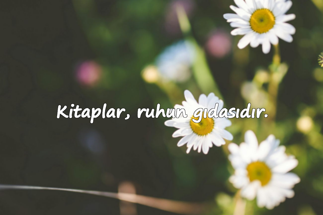 Kitaplar, ruhun gıdasıdır.