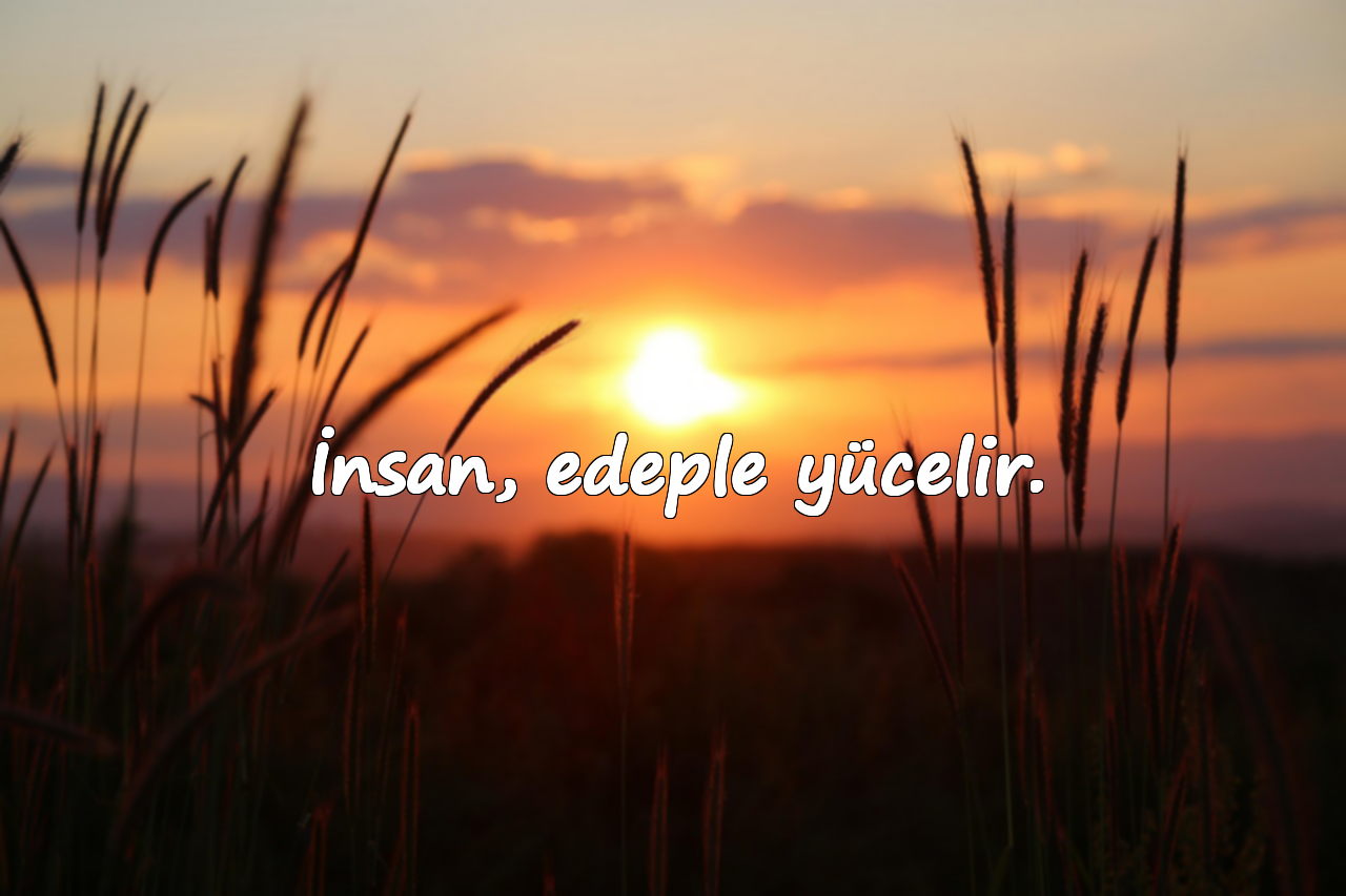 İnsan, edeple yücelir.