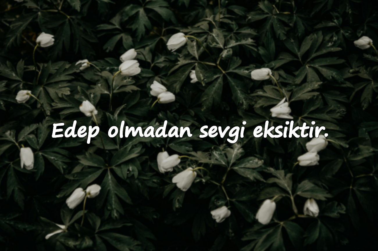 Edep olmadan sevgi eksiktir.