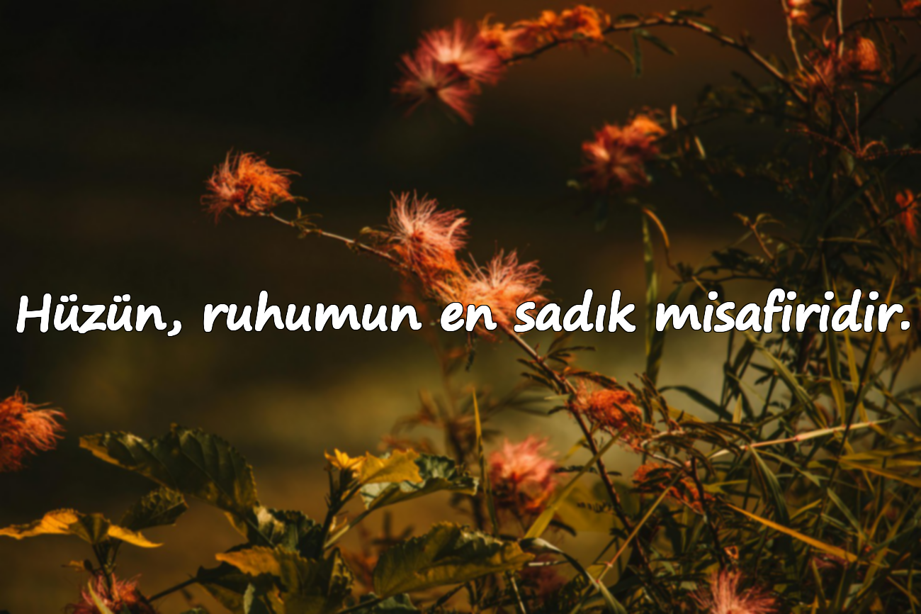 Hüzün, ruhumun en sadık misafiridir.