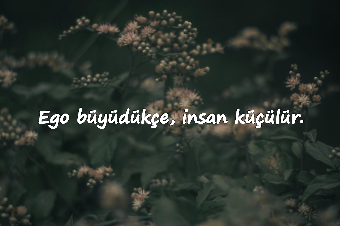 Ego büyüdükçe, insan küçülür.