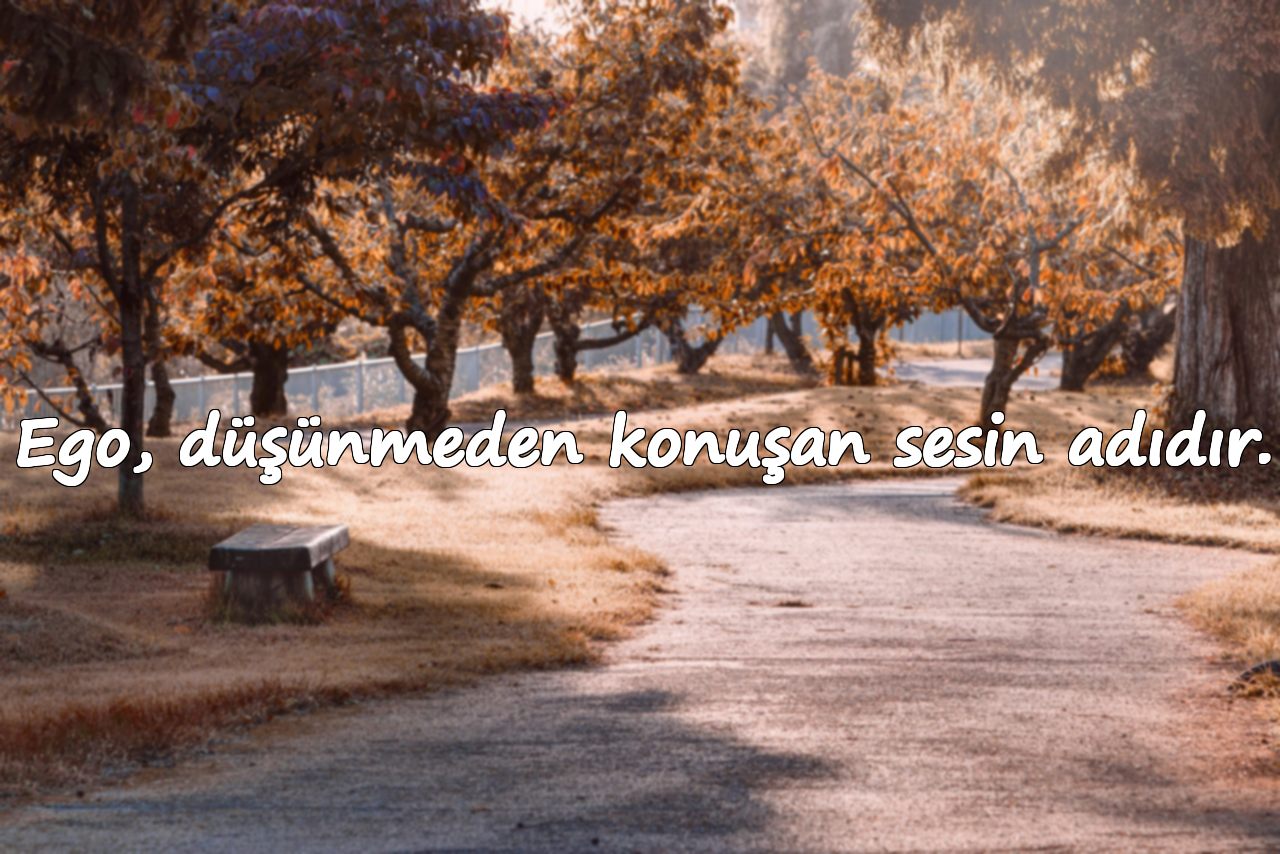 Ego, düşünmeden konuşan sesin adıdır.