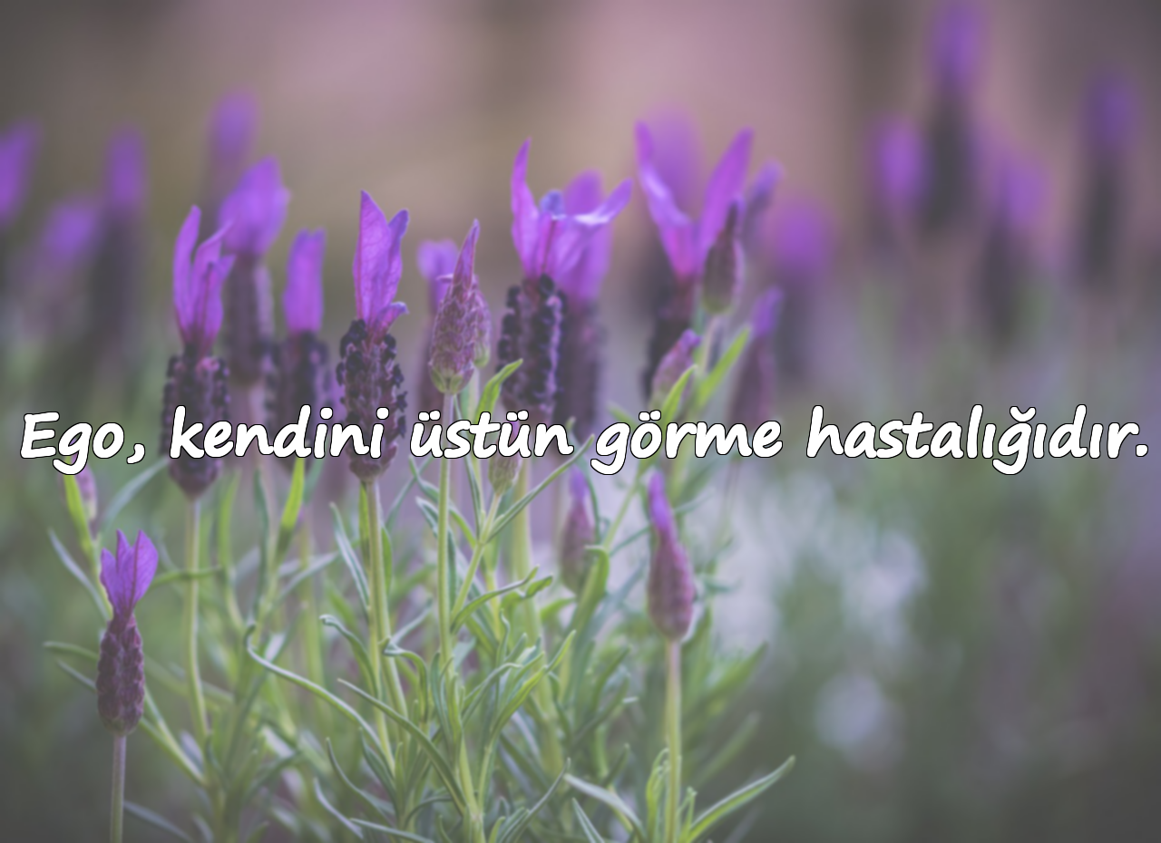 Ego, kendini üstün görme hastalığıdır.