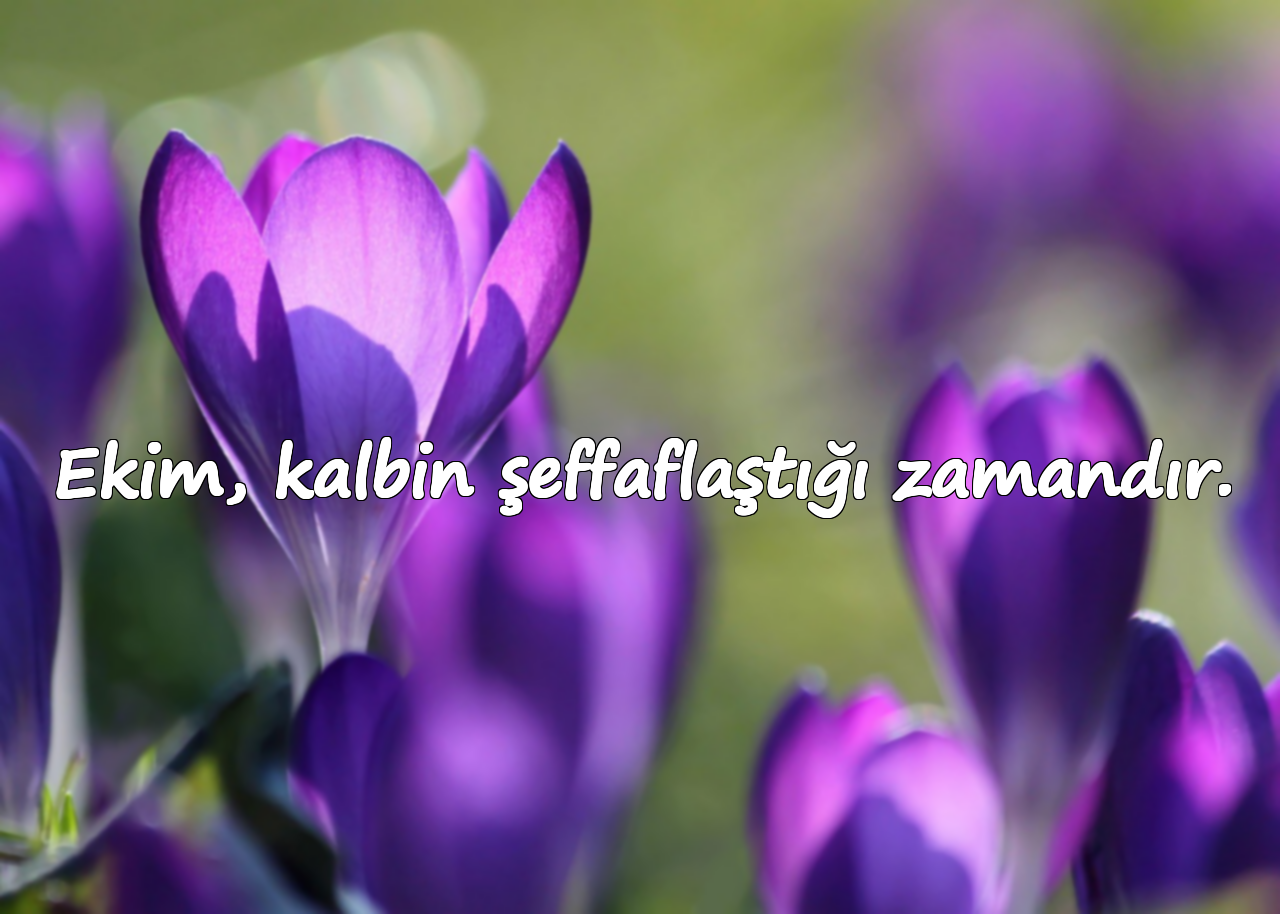 Ekim, kalbin şeffaflaştığı zamandır.