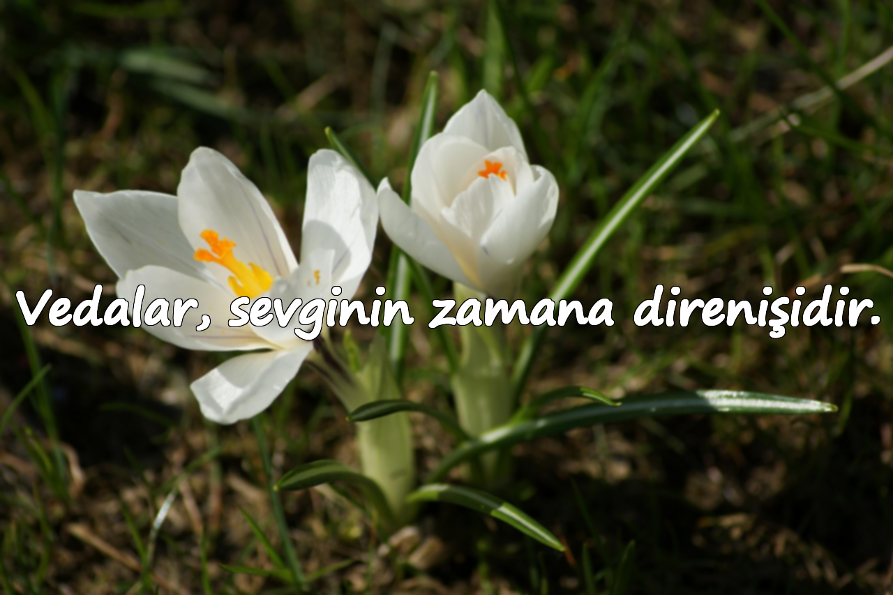 Vedalar, sevginin zamana direnişidir.
