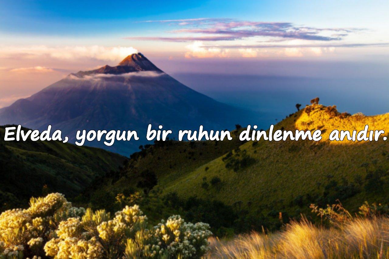 Elveda, yorgun bir ruhun dinlenme anıdır.