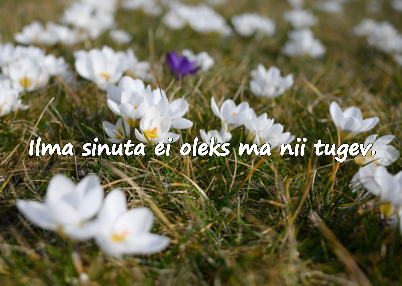 Emade kohta mõtteid
