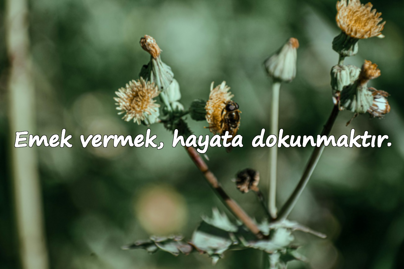 Emek vermek, hayata dokunmaktır.