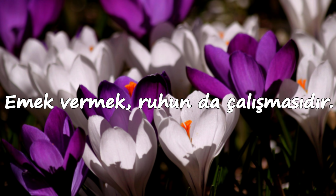 Emek vermek, ruhun da çalışmasıdır.