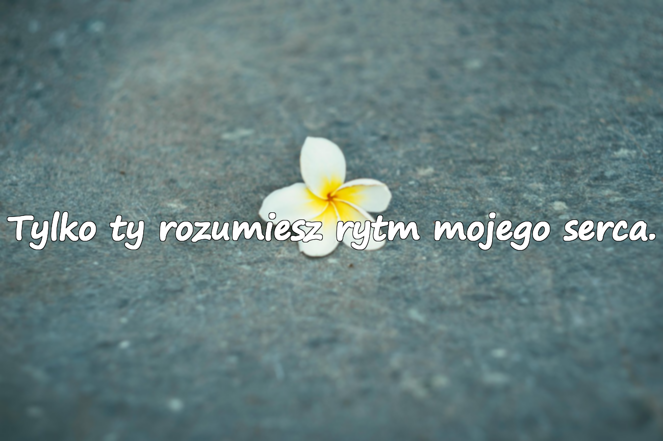 Emocjonalne Cytaty Miłosne