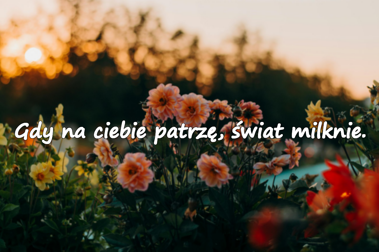 Emocjonalne Cytaty Miłosne