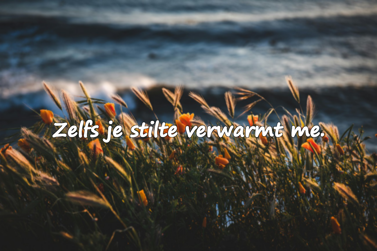 Emotionele Liefdescitaten