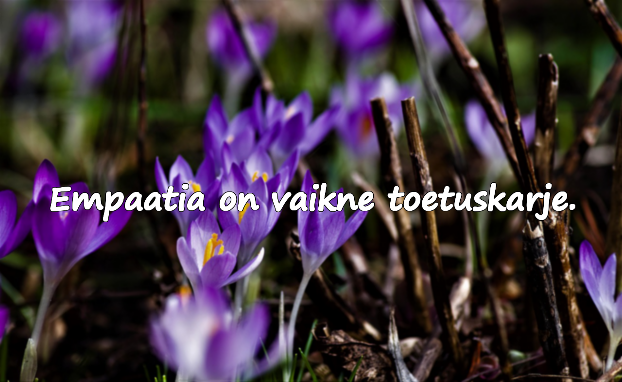 Empaatia Tsitaadid