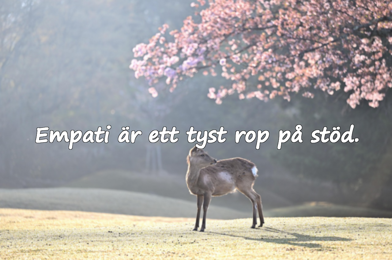 Empati Citat