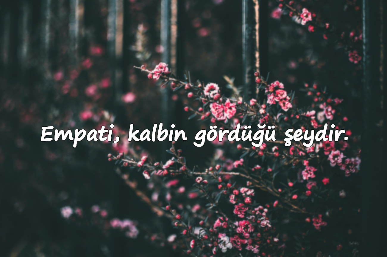 Empati, kalbin gördüğü şeydir.
