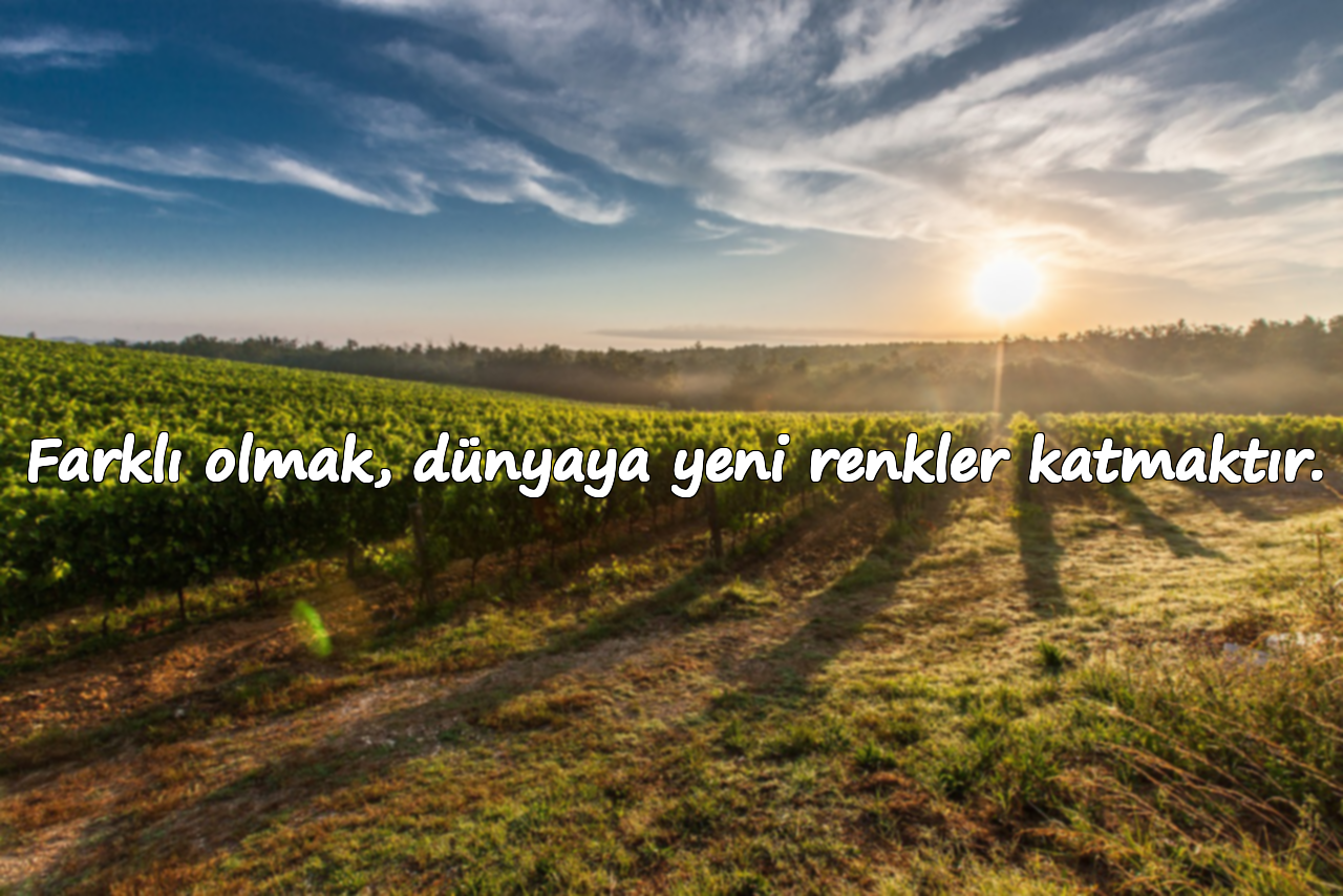 Farklı olmak, dünyaya yeni renkler katmaktır.