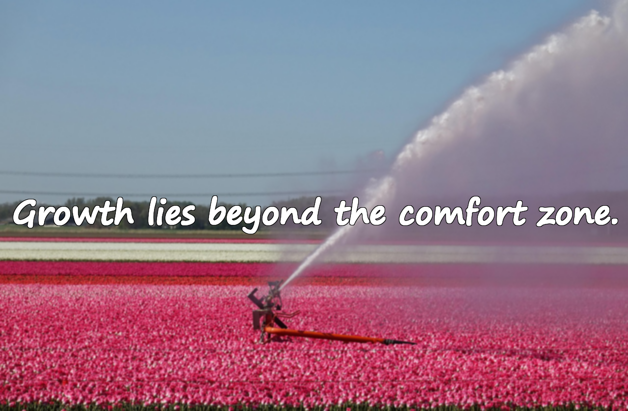 Entrepreneurship Quotes