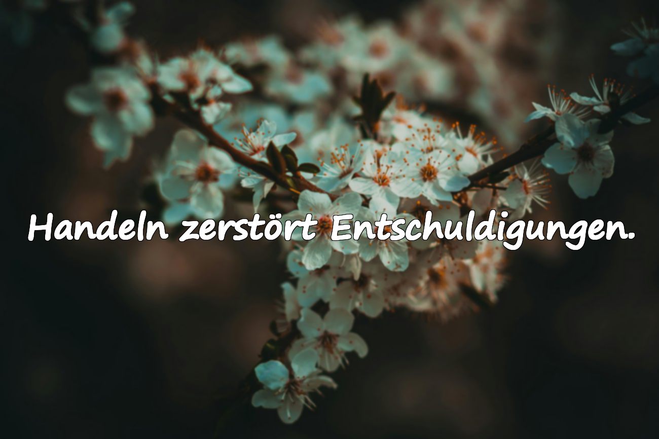 Entschuldigungen und Handeln