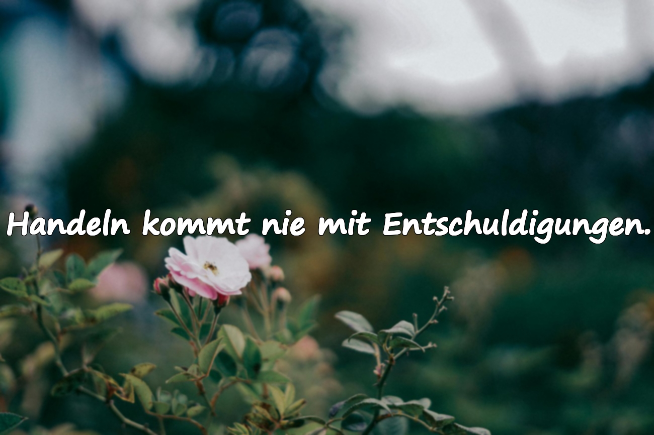 Entschuldigungen und Handeln