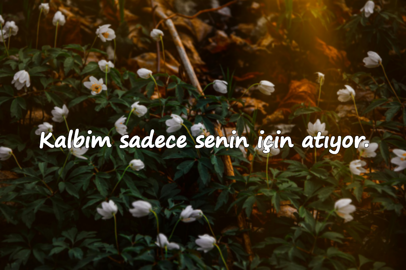 Kalbim sadece senin için atıyor.