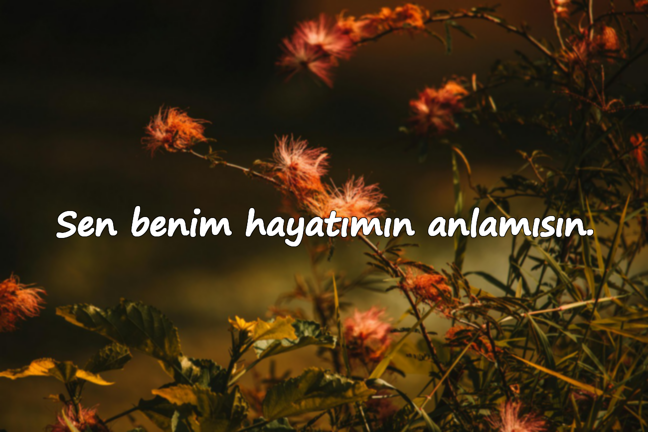 Sen benim hayatımın anlamısın.
