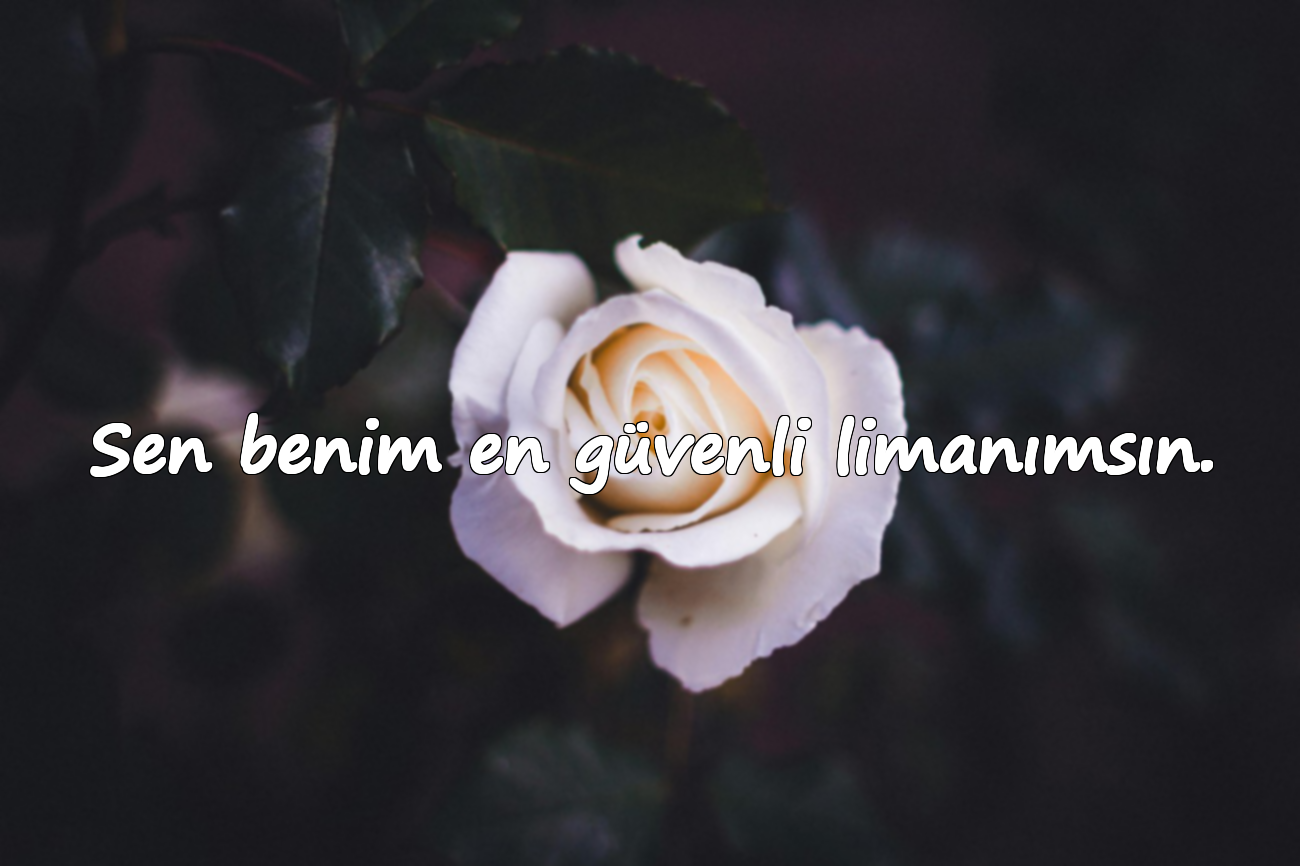 Sen benim en güvenli limanımsın.