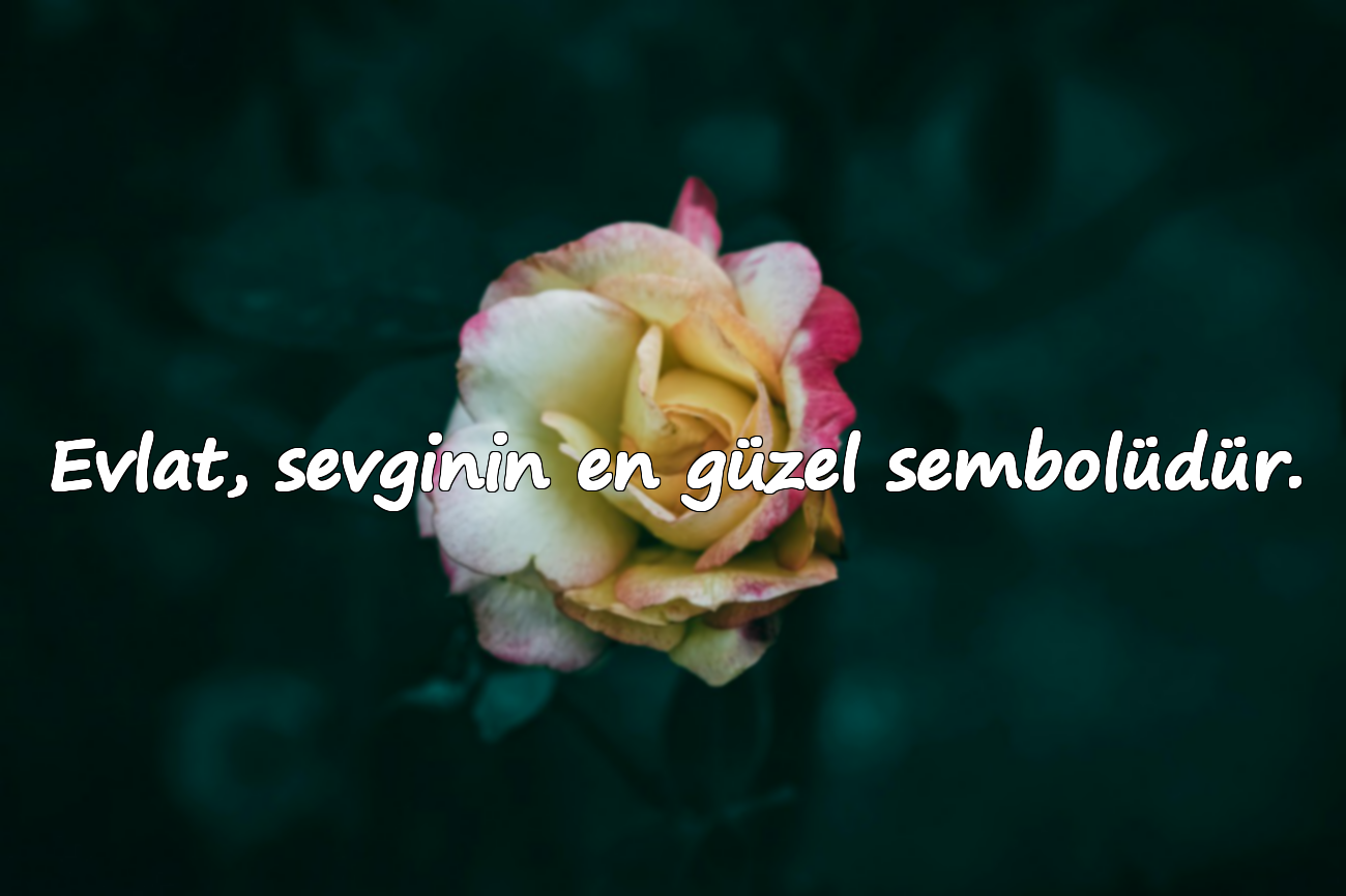 Evlat, sevginin en güzel sembolüdür.