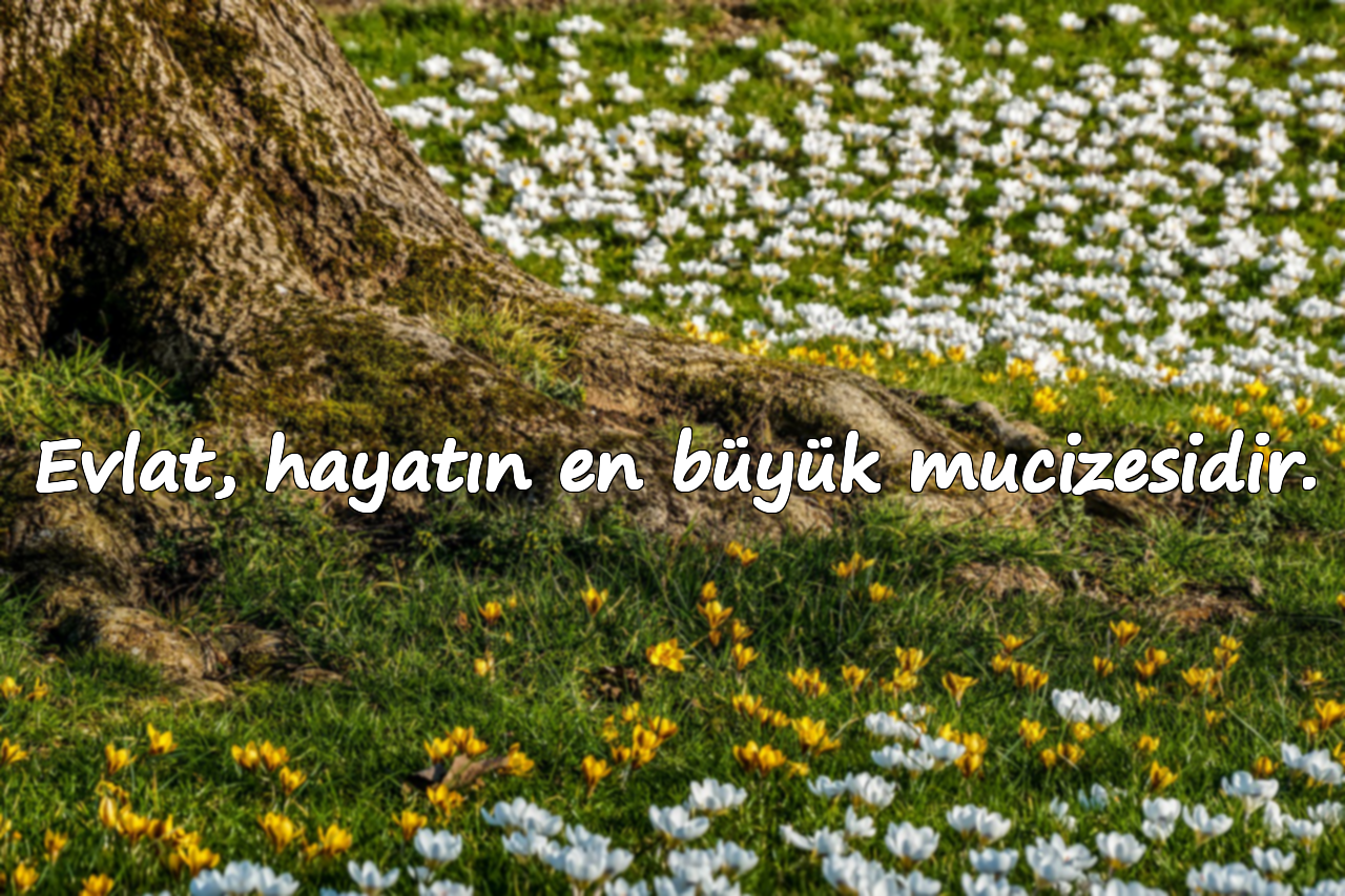 Evlat, hayatın en büyük mucizesidir.